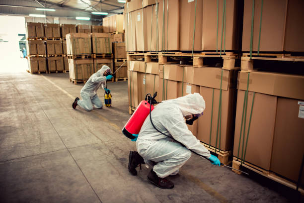 Best Best Pest Control Companies  in Priceville, AL