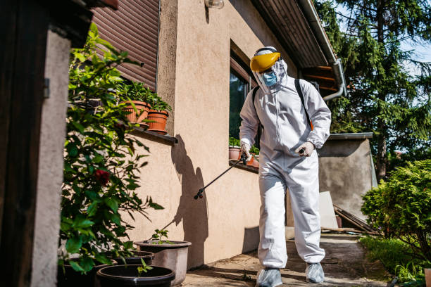 Professional Pest Control in Priceville, AL